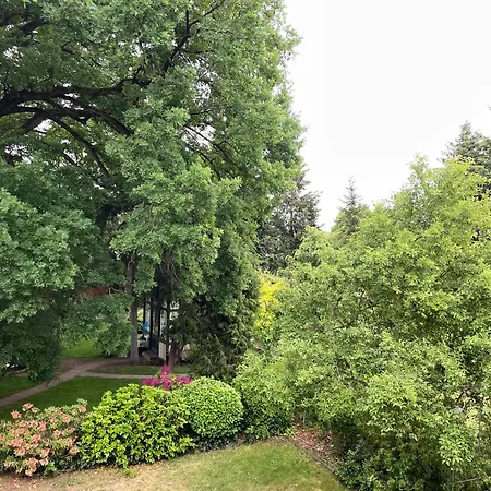 An Der Stadtvilla ריינסברג